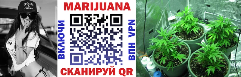 Купить где  Голицыно  Конопля индика 